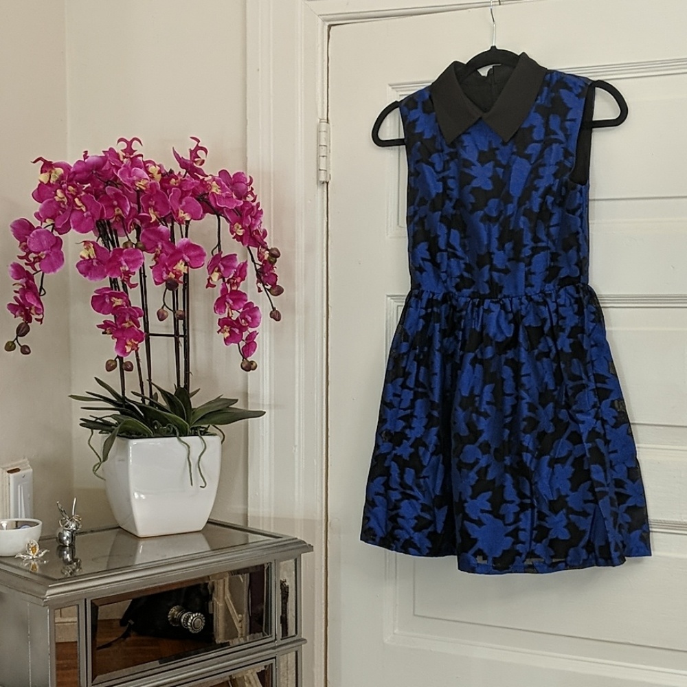 Ducks in a Row Blue Collared Dress